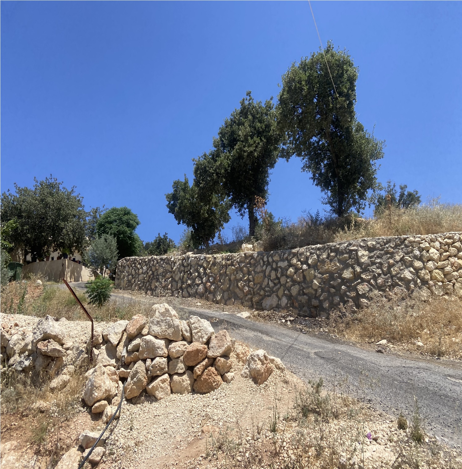 مزاد أرض / مجمع —