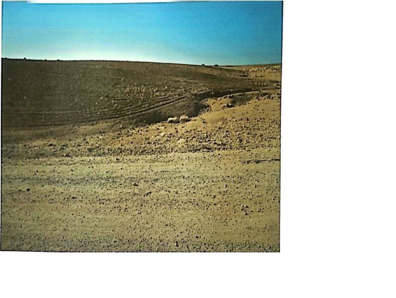 مزاد أرض / مجمع — دليلة المطيرات