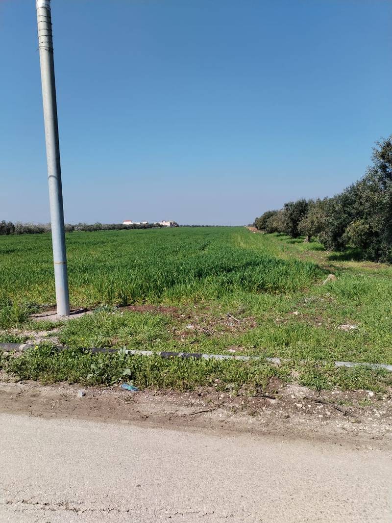 مزاد أرض / مجمع — جمحه