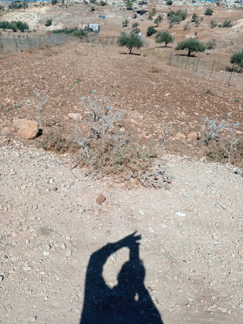 مزاد أرض / مجمع — فوعره