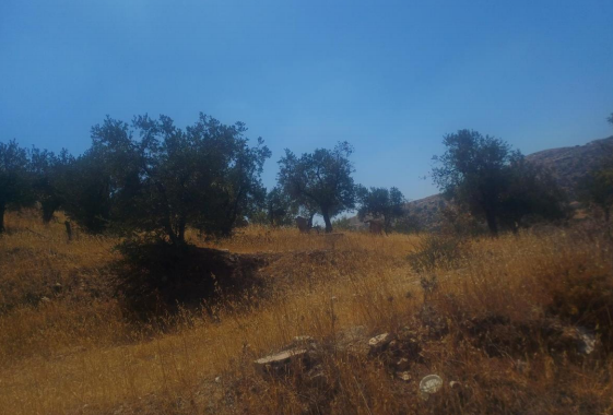مزاد أرض / مجمع — البحاث