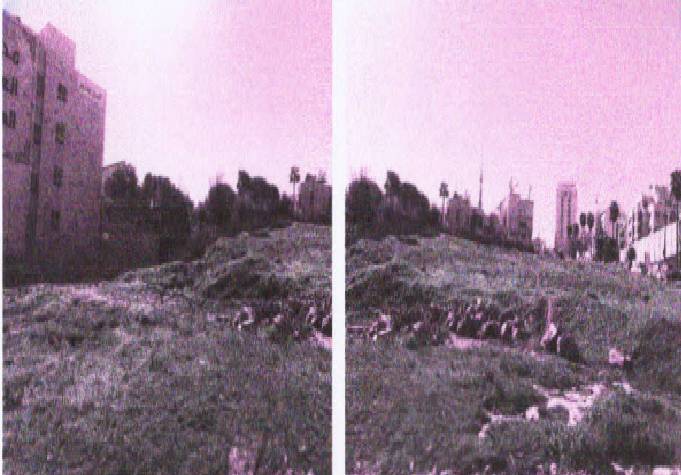 مزاد أرض / مجمع — الرضوان