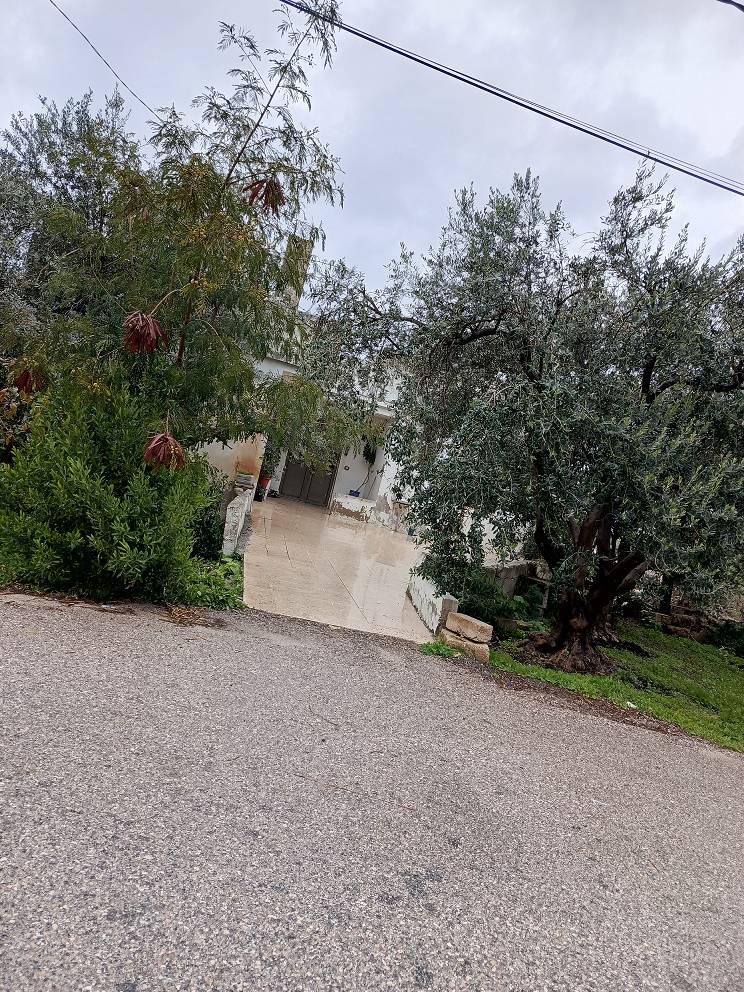 مزاد أرض / مجمع — حوفا الوسطيه