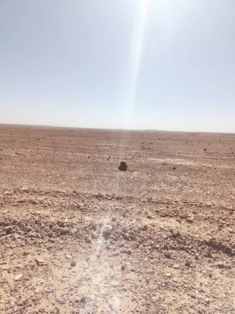مزاد أرض / مجمع — موقع تل ابوالرعا