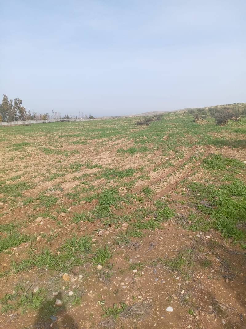 مزاد أرض / مجمع — الطيبة
