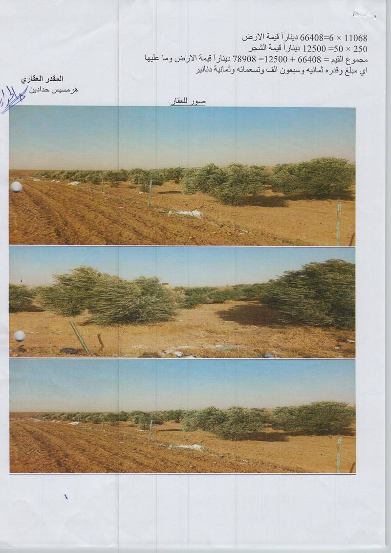 مزاد أرض / مجمع — مادبا