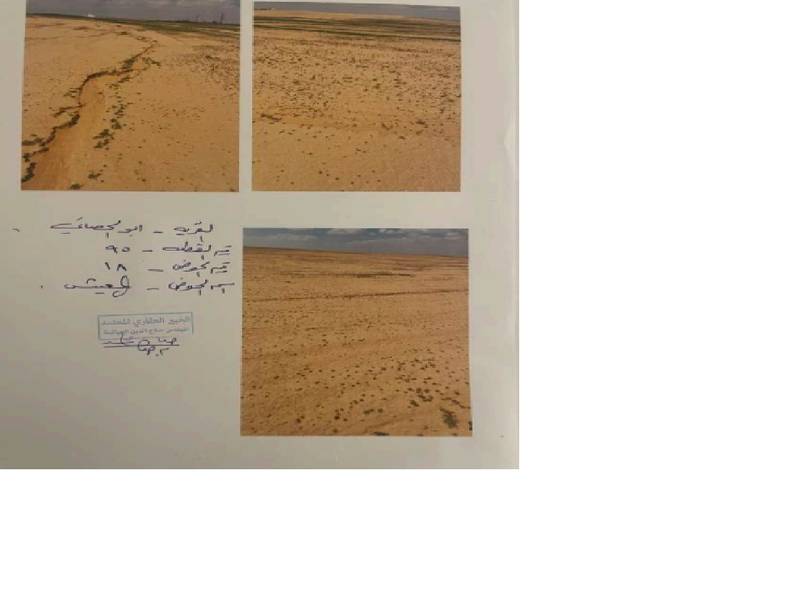 مزاد أرض / مجمع — ابوالحصاني