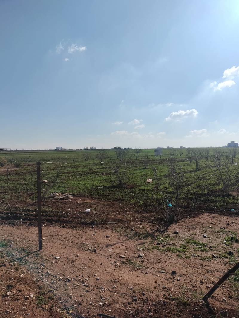 مزاد أرض / مجمع — النعيمه