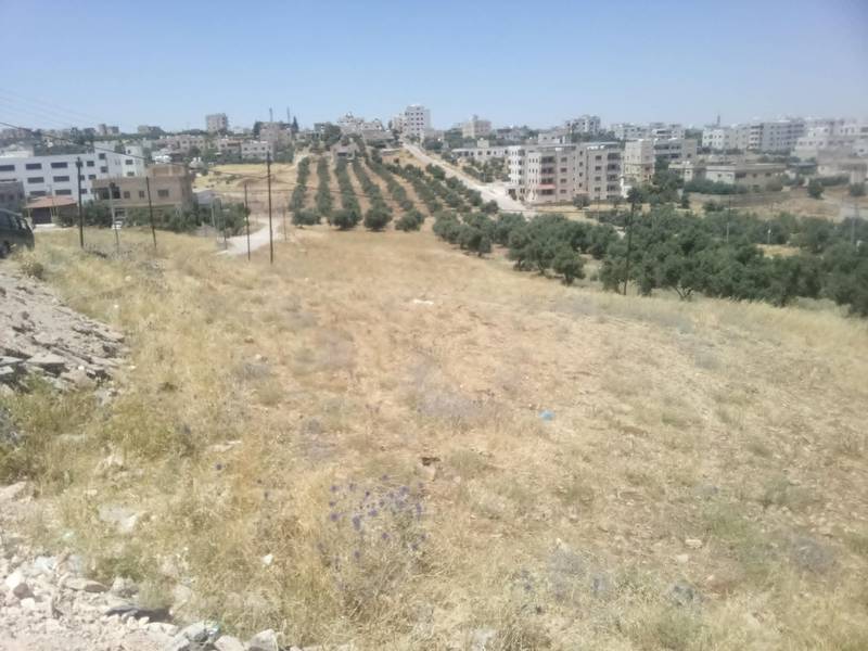 مزاد أرض / مجمع — ايدون