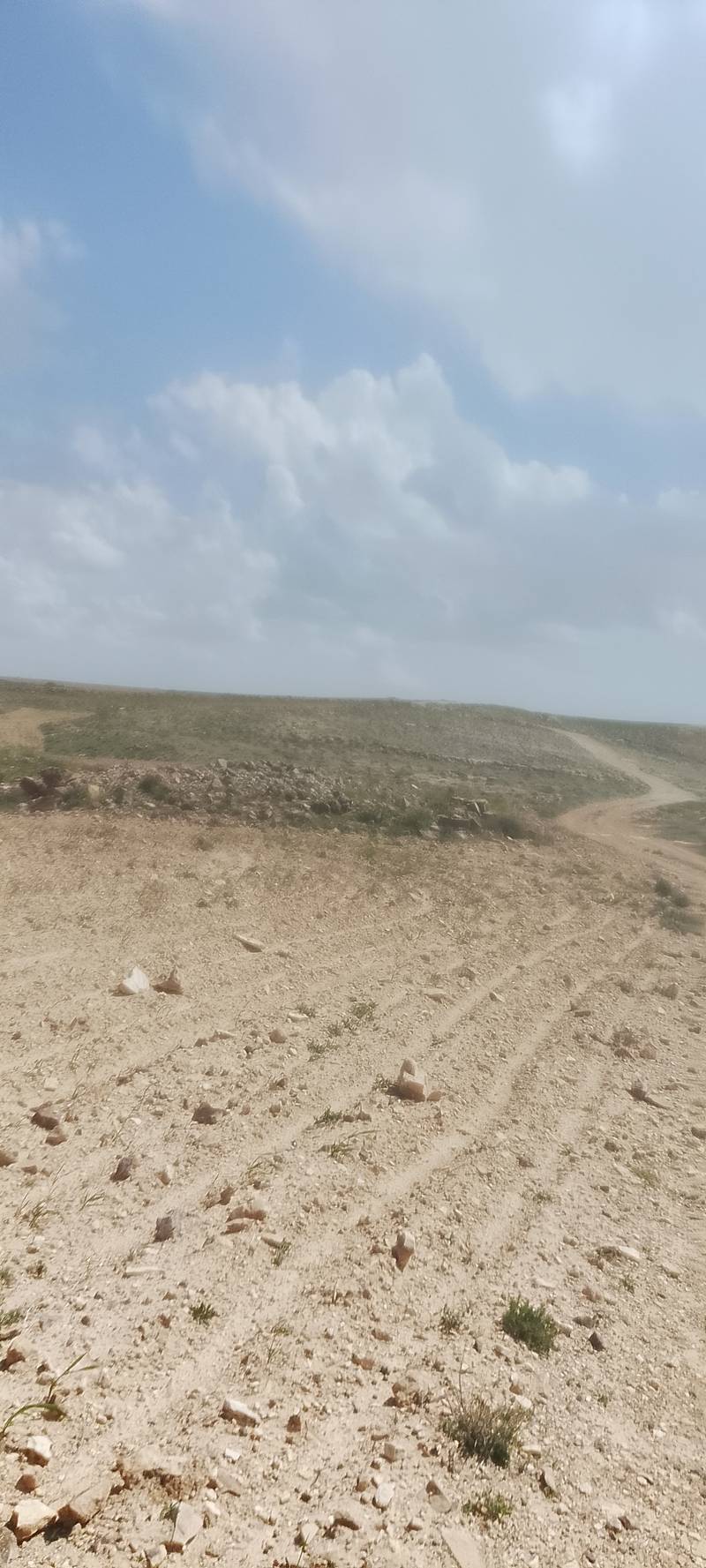 مزاد أرض / مجمع — وادي موسى