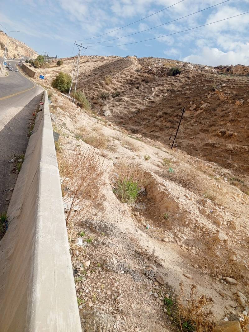 مزاد أرض / مجمع — جنين