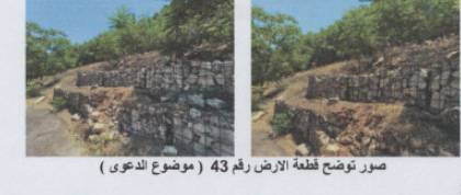 مزاد أرض / مجمع — عبدون الجنوبي