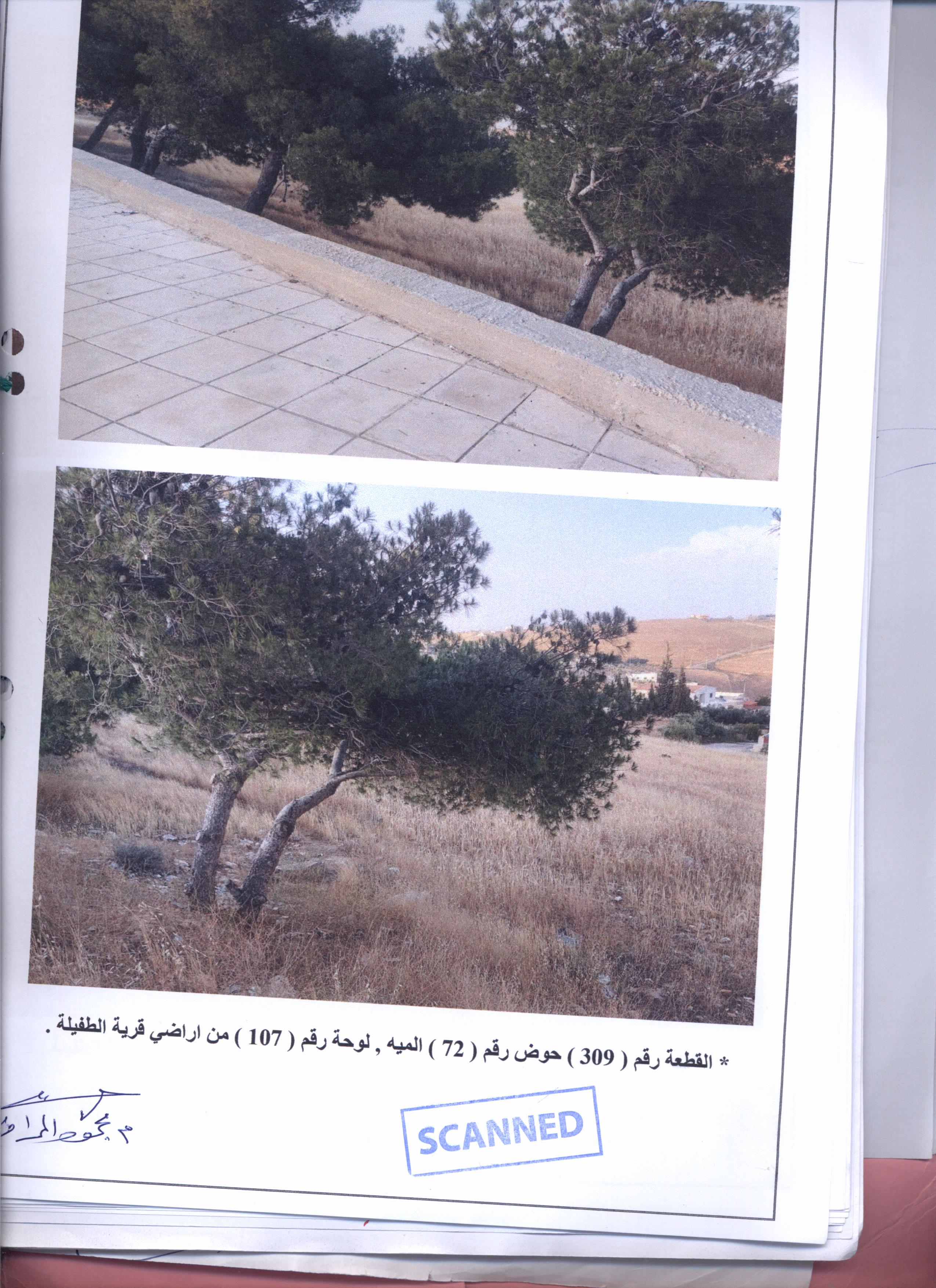 مزاد أرض / مجمع —